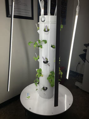 Aeroponic Tower Garden - Texans Can Academy - Fort